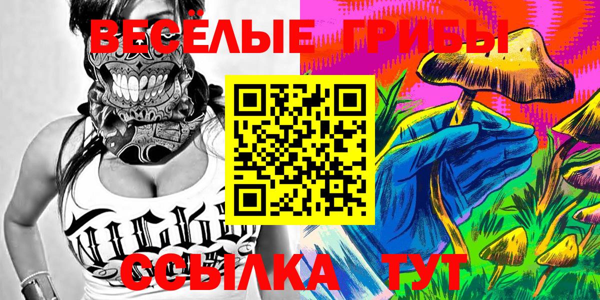 Галлюциногенные грибы прущие грибы  дарнет шоп  Вход с VPN  Новоуральск  Псилоцибиновые грибы Cubensis 